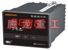 溫度表、數(shù)字顯示儀、濕度表