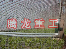 大棚花卉供暖設(shè)備、大棚卉采暖設(shè)備、大棚花卉取暖設(shè)備