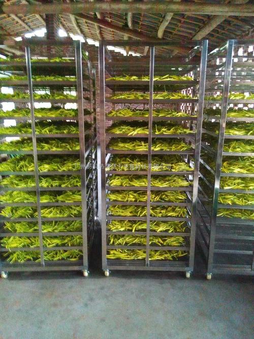 黃花菜烘干機(jī)、黃花菜烘干設(shè)備、黃花菜干燥機(jī)、黃花菜干燥設(shè)備、
